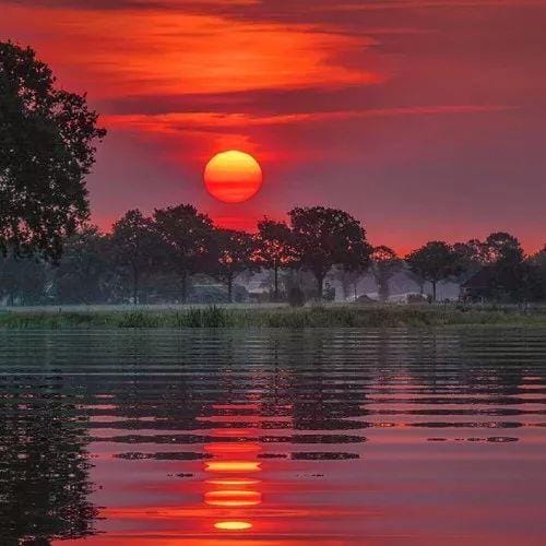 سعید احمد avatar