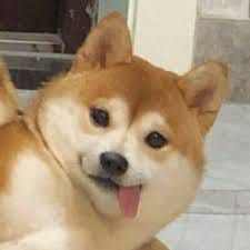 Iftikhar Ahmed avatar