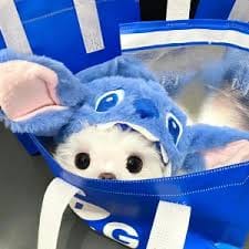 عمران خان avatar