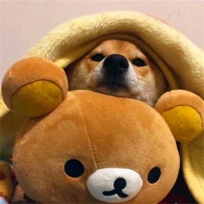 حمزہ رضا avatar